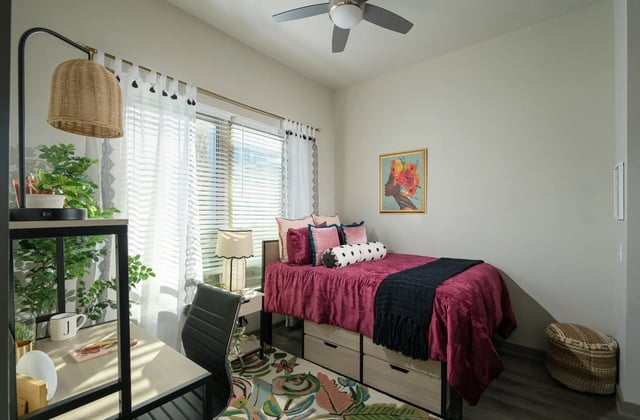 Bed desk plant artwork ceiling fan bedroom at The Metropolitan Tallahassee in Tallahassee Student Accommodation