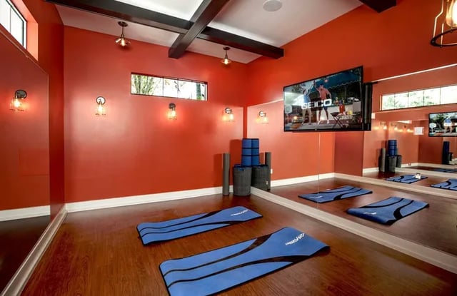 Yoga mats mirror and TV gym area at Boulevard Tallahassee in Tallahassee Student Accommodation