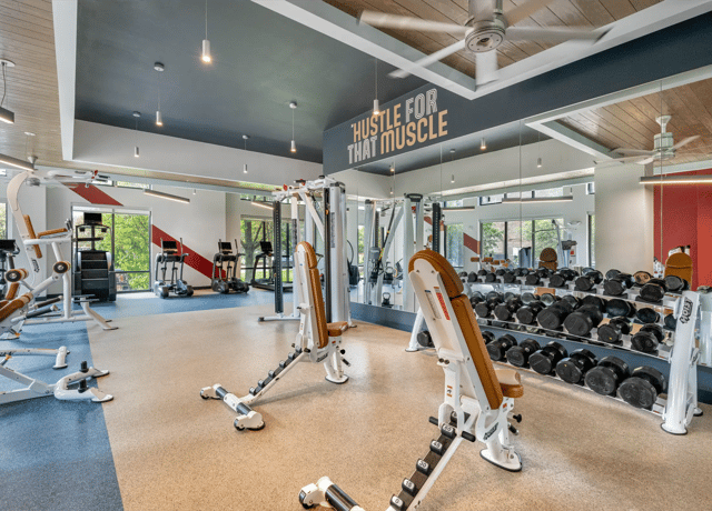 Weights machines and dumbbells in gym Image Type gym at Statehouse Tallahassee in Tallahassee Student Accommodation