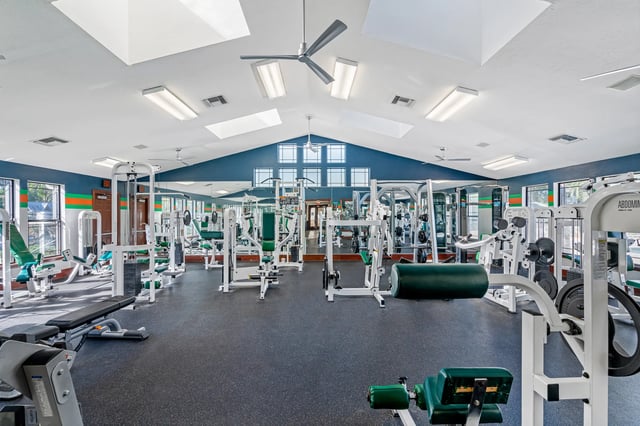 Weight machines and workout benches gym at Forest Lake in Lutz Student Accommodation