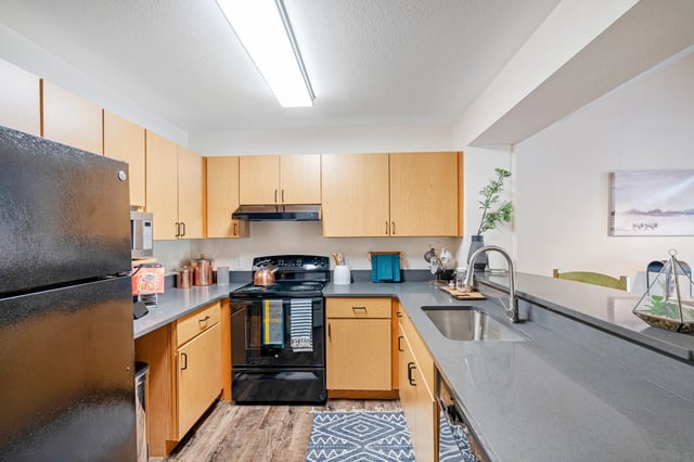 Black refrigerator wood cabinets gray counters kitchen at Forest Lake in Lutz Student Accommodation