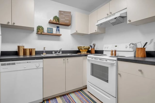 Dishwasher stove sink cabinets decor kitchen at The Preserve at San Luis in Tallahassee Student Accommodation