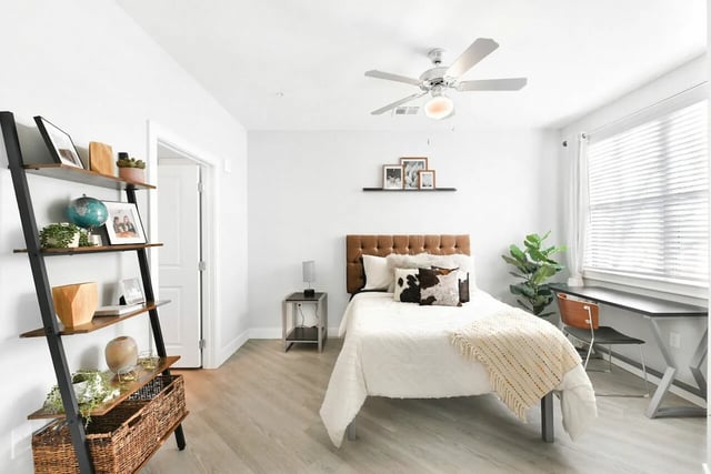Bed desk shelving and plant bedroom at Park Place Tampa in Tampa Student Accommodation