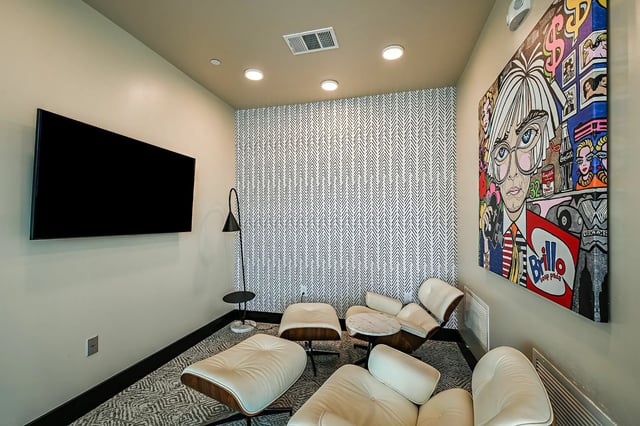 Pop art painting television leather chairs living room at Park Place Tampa in Tampa Student Accommodation