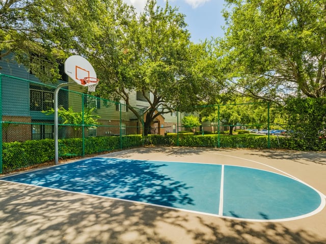 Basketball court with hoop and trees playing area at Reflections in Tampa Student Accommodation