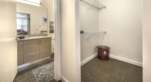 Bathroom vanity with shelves and laundry closet at FSU Collegetown in Tallahassee Student Accommodation