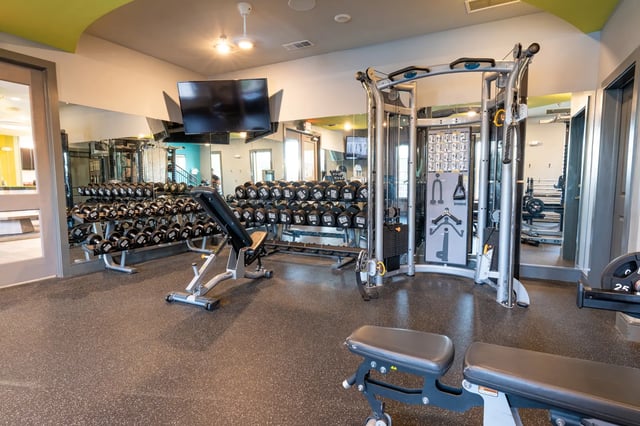 Dumbbells weight bench cable machine gym area at The Retreat at Tampa in Tampa Student Accommodation