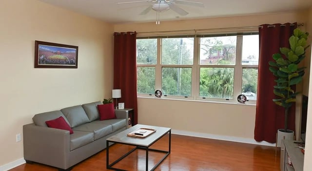 Gray sofa coffee table artwork plant living room at Burt Reynolds Hall in Tallahassee Student Accommodation