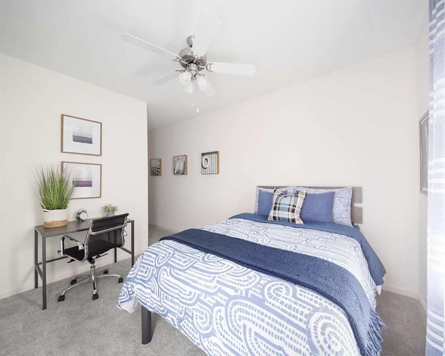 Desk plant alarm clock chair bed bedroom at Urban Enclave in Tallahassee Student Accommodation