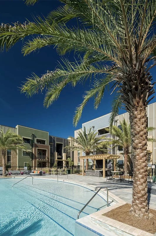 Pool area with palm trees and apartments exterior at Urban Enclave in Tallahassee Student Accommodation