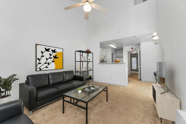Black sofa coffee table shelf TV living room at Museum Walk in Gainesville Student Accommodation