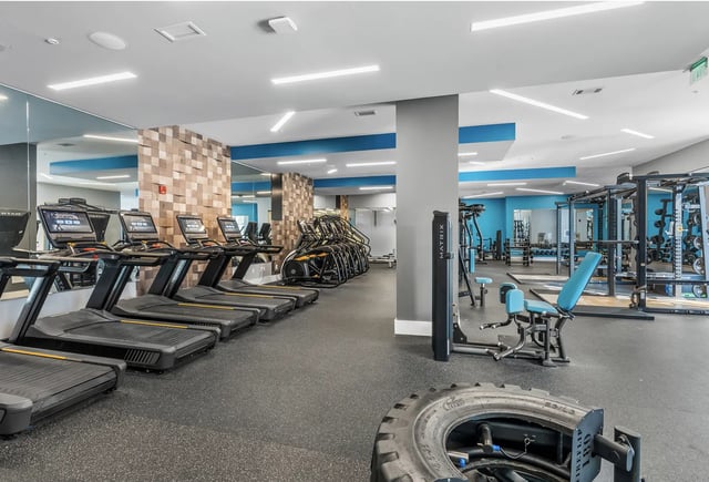 Treadmills elliptical machines weight racks gym Image Type at The Metropolitan Tampa in Tampa Student Accommodation