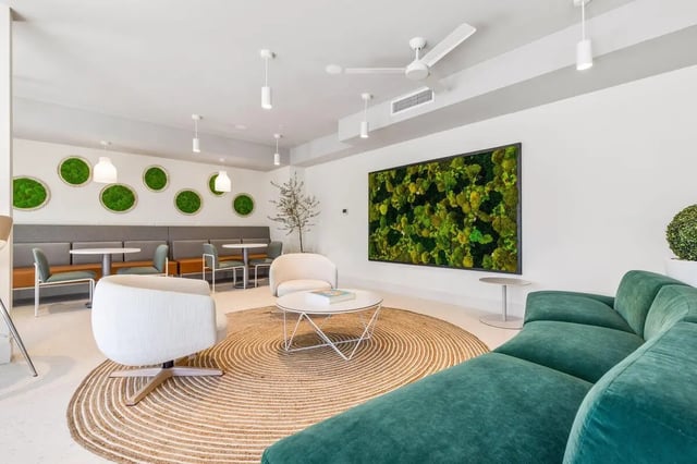 Sofa green artwork and seating living room at The Row UF in Gainesville Student Accommodation
