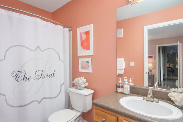 White shower curtain toilet artwork countertop and sink bathroom at The Social Tampa in Lutz Student Accommodation
