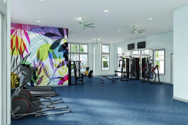 Ellipticals treadmills weight machines bright mural gym room at Aspen Tampa in Tampa Student Accommodation