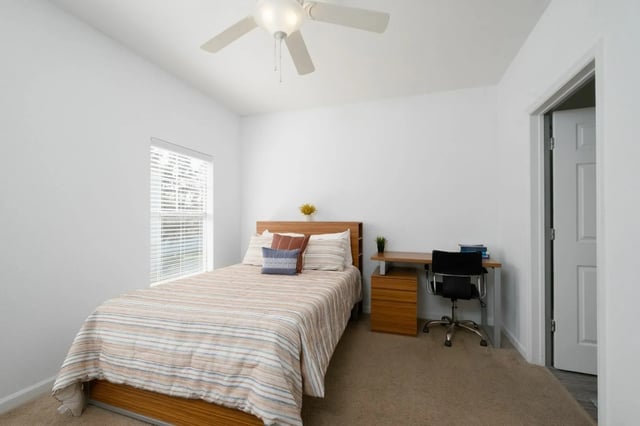 Bed desk chair blinds ceiling fan bedroom at The Enclave in Gainesville Student Accommodation