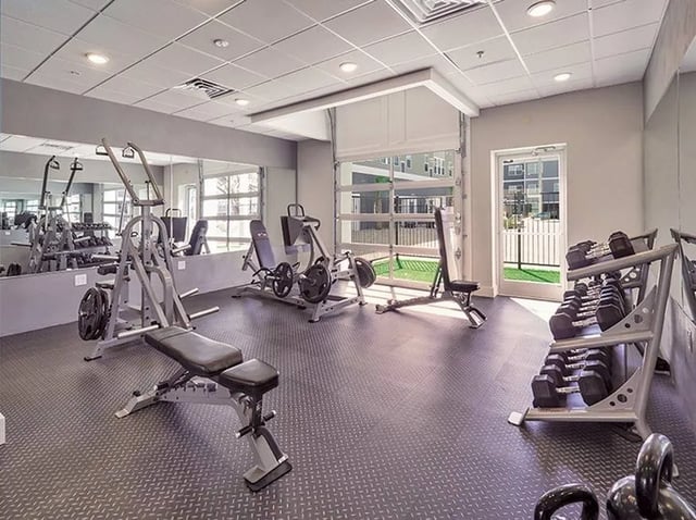 Weights machines and dumbbells gym area at The Ridge at Gainesville in Gainesville Student Accommodation