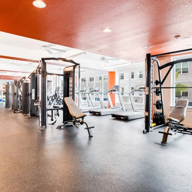 Weight benches treadmills and weight racks gym at Halo 46 in Tampa Student Accommodation