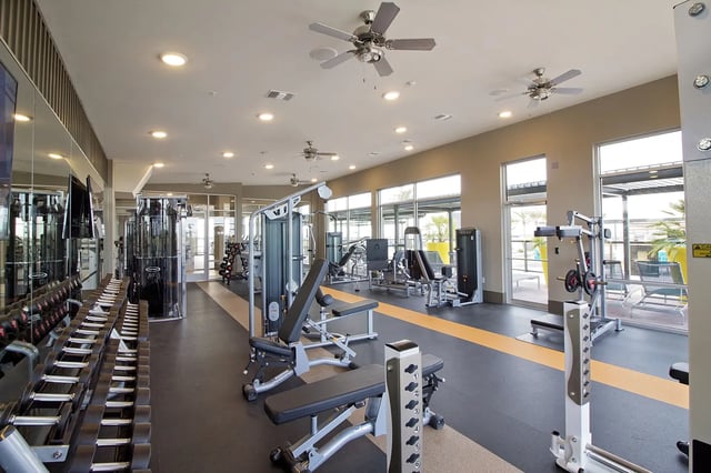 Dumbbells machines and benches gym fitness area at The Standard at Gainesville in Gainesville Student Accommodation