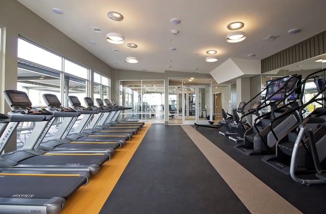 Row of treadmills stair climbers mirrors gym interior at The Standard at Gainesville in Gainesville Student Accommodation