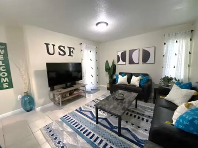 USF logo TV sofas patterned rug living room at College Town @ USF in Tampa Student Accommodation