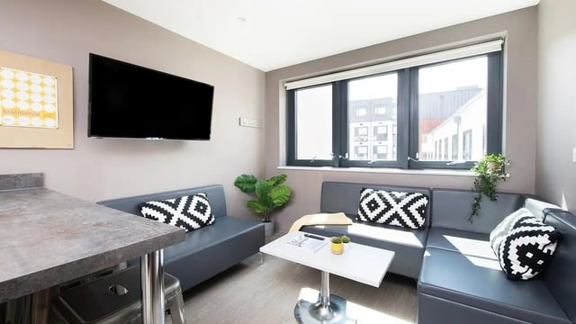 Gray sectional sofa with black white pillows living room at Collegiate Eclipse in Cardiff Student Accommodation