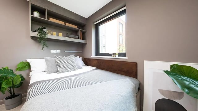 Bed shelves plant window framed art bedroom at Collegiate Eclipse in Cardiff Student Accommodation