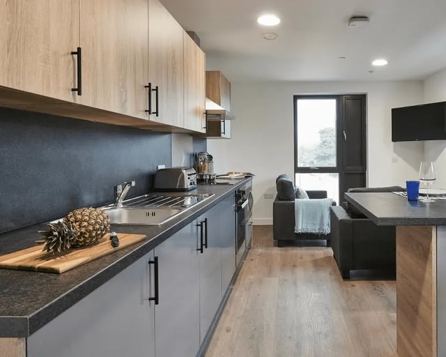 Modern kitchen with sink pineapple sofa living room at Southampton Crossings in Southampton Student Accommodation