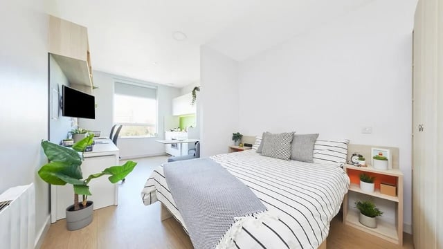 Bed desk plants and TV study bedroom at Collegiate Middle Street in Portsmouth Student Accommodation