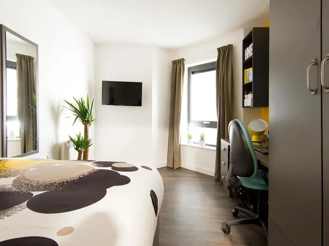 Bed plants mirror TV desk chair bedroom at Yugo Beckley Point in Plymouth Student Accommodation