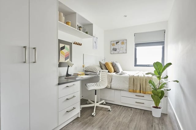Wardrobe desk bed plant and window bedroom at The City Arcade - Exeter in Exeter Student Accommodation