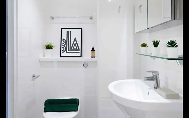 Sink towel art and plants bathroom at Hampton Square in Southampton Student Accommodation