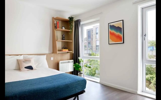 Bed with blue blanket bookshelf and plant bedroom at Hampton Square in Southampton Student Accommodation