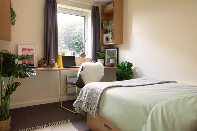 Desk with laptop plant and bed bedroom at Westhill Hall in Sheffield Student Accommodation