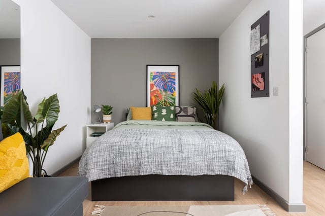 Bed with plants artwork and bedside table bedroom at St Vincents Place in Sheffield Student Accommodation