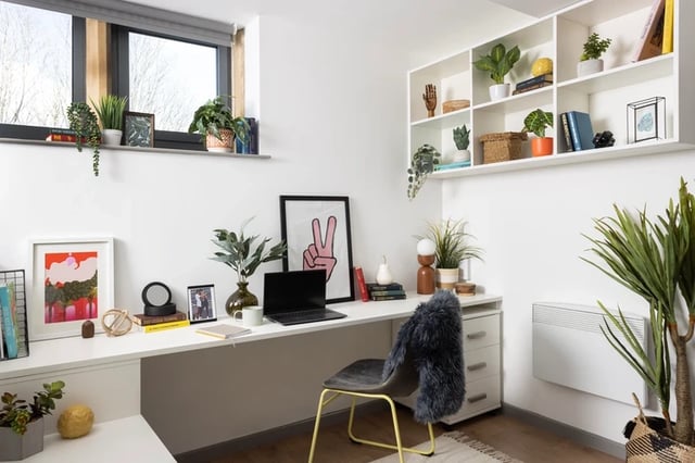 Desk with laptop plants and shelving Study area at St Vincents Place in Sheffield Student Accommodation