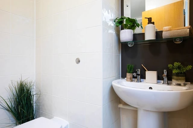 Sink plants soap dispenser and toilet bathroom at Cambrian Point in Cardiff Student Accommodation