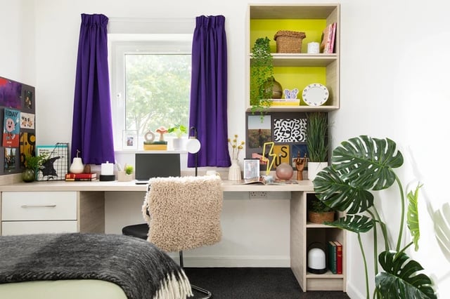 Desk with shelves laptop and plants Bedroom Study Area at Cambrian Point in Cardiff Student Accommodation