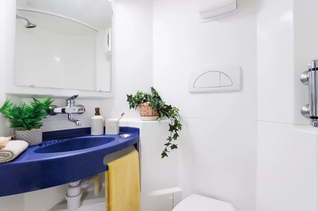 Blue sink with plants mirror and toilet Bathroom at Hepworth Lodge in Leeds Student Accommodation