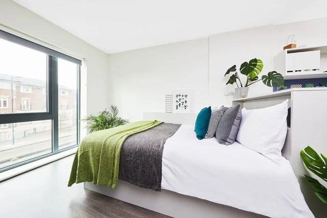 Bed pillows plants and window bedroom at Granary Studios in Chester Student Accommodation