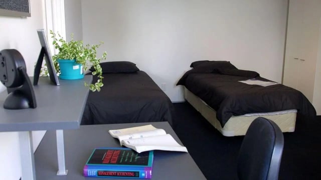 Two beds desk plant and books bedroom at Student Living Auckland in Auckland Student Accommodation
