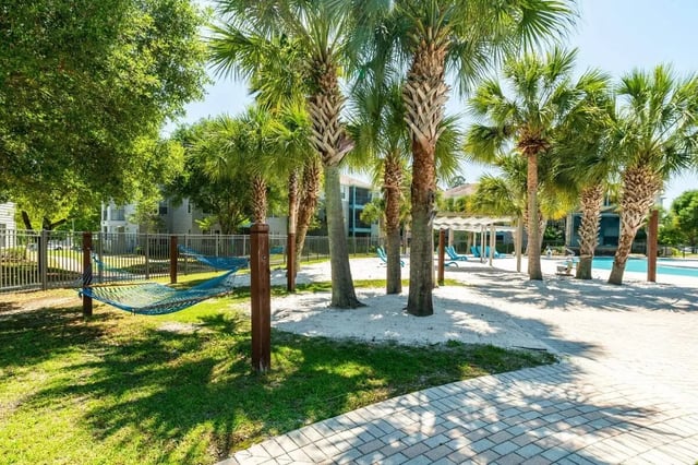 Hammocks by palm trees near pool area exterior at Cabana Beach Gainesville in Gainesville Student Accommodation