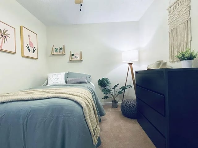 Bed dresser lamp plants artwork bedroom at Alight Blacksburg in Blacksburg Student Accommodation