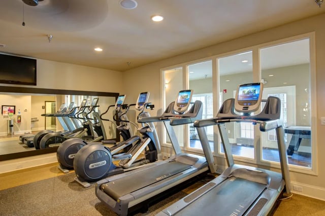 Row of treadmills and elliptical machines gym at The Verge at Asheville in Asheville Student Accommodation