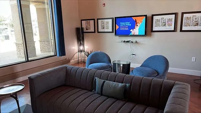 Sofa blue chairs television artwork living room at Copper Beech Townhomes - San Marcos in San Marcos Student Accommodation