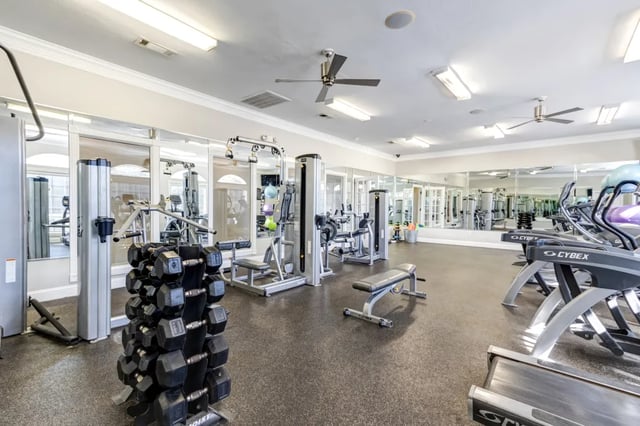 Dumbbells treadmills weight machines gym at Cambridge @ Southern - The Palms in Statesboro Student Accommodation