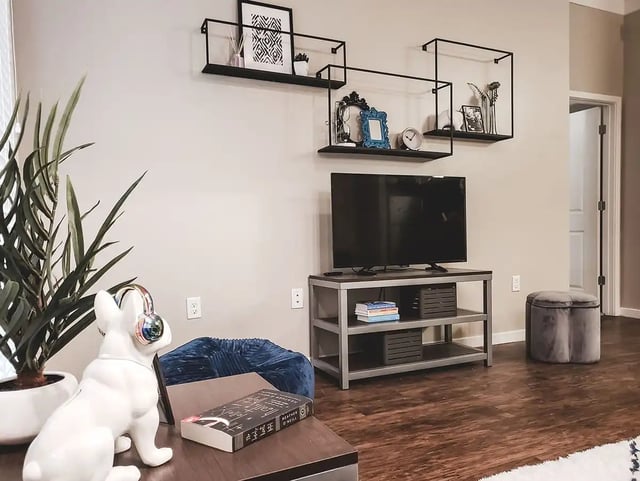 Dog statue shelves TV and ottoman living room at Ion Baton Rouge in Baton Rouge Student Accommodation