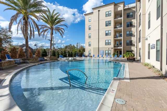 Resort style pool with palm trees and loungers exterior at Ion Baton Rouge in Baton Rouge Student Accommodation