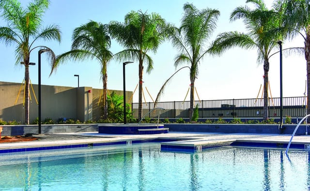 Palm trees and swimming pool exterior at Ion Baton Rouge in Baton Rouge Student Accommodation