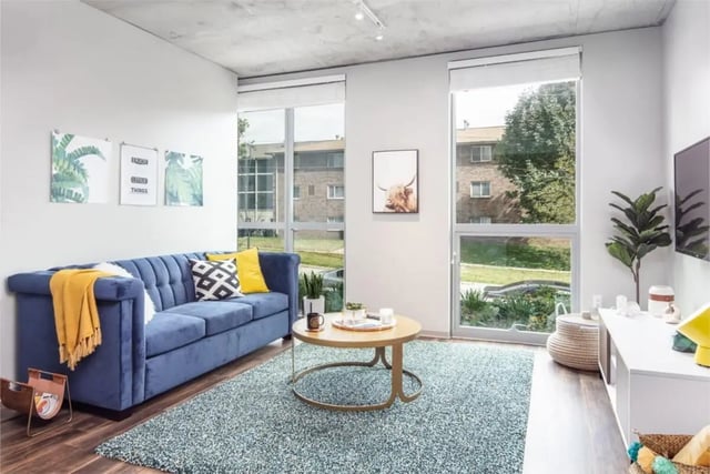 Blue couch plants art and coffee table living room at Rise At Riverfront Crossings in Iowa City Student Accommodation